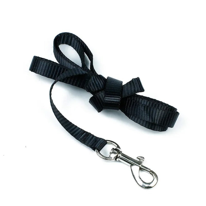 Cat Collar Harness Leash Adjustable Nylon Pet Traction Kitten Dog Halter Gato Cats Products Belt