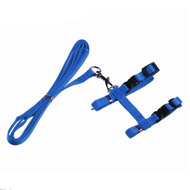 Cat Collar Harness Leash Adjustable Nylon Pet Traction Kitten Dog Halter Gato Cats Products Belt