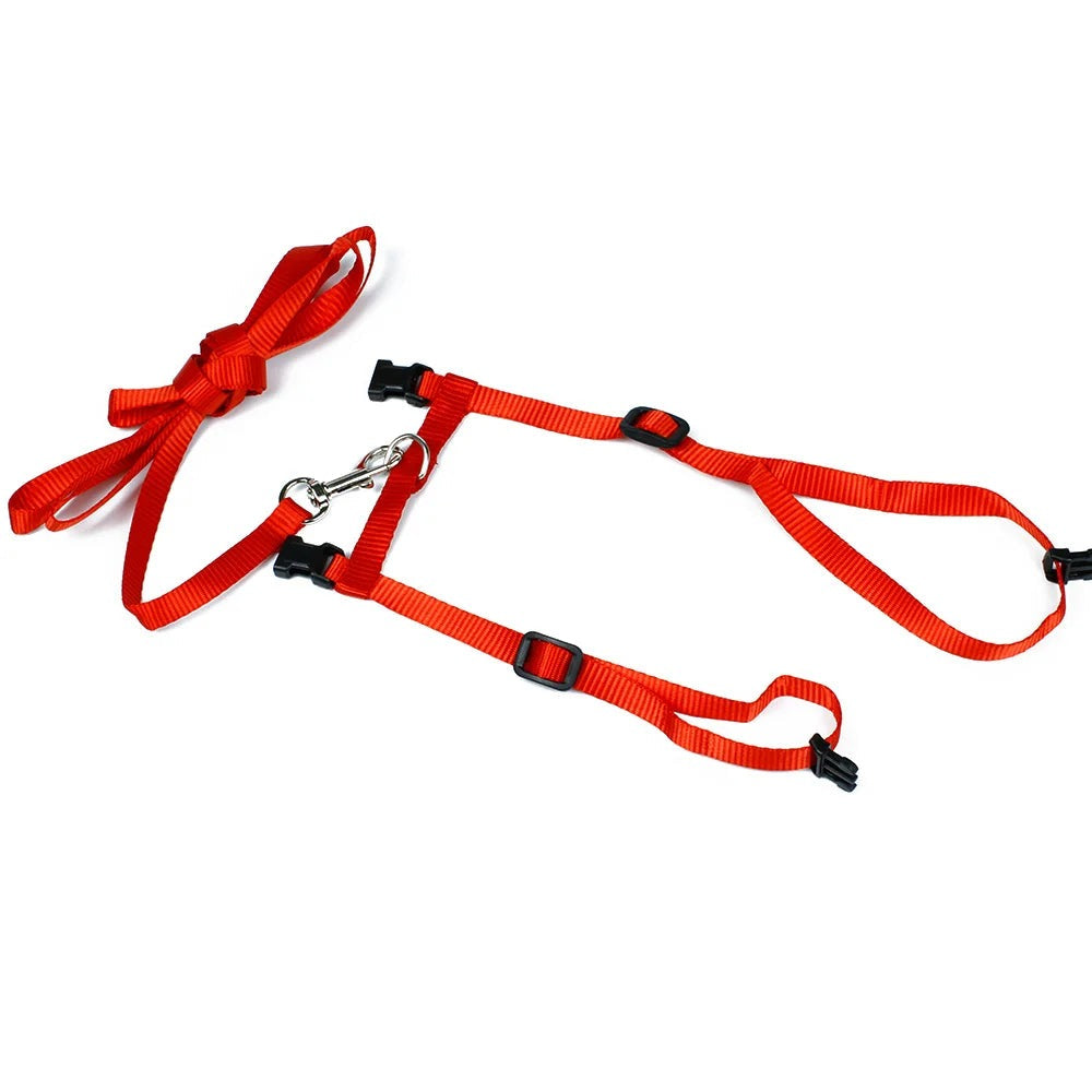 Cat Collar Harness Leash Adjustable Nylon Pet Traction Kitten Dog Halter Gato Cats Products Belt