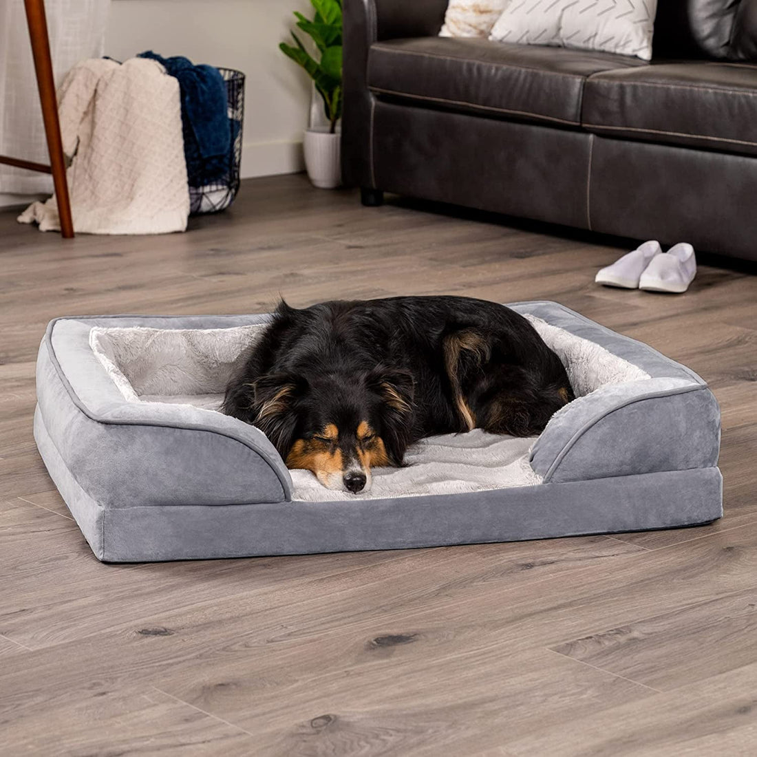 Luxury Orthopedic Dog Bed