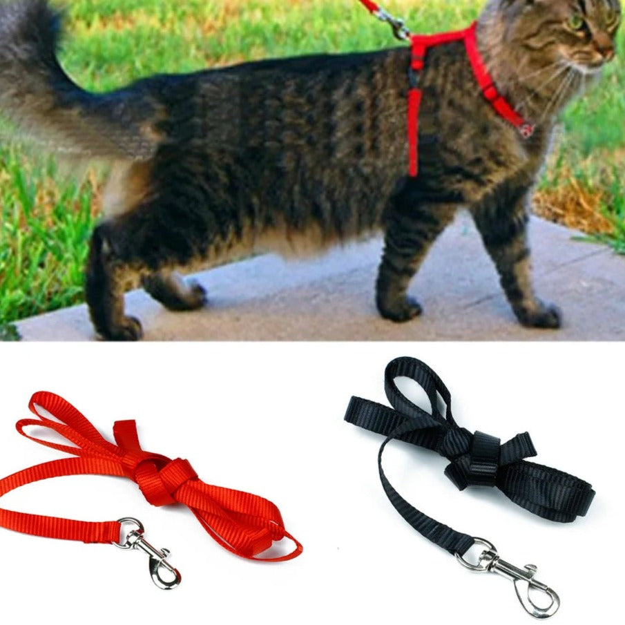 Cat Collar Harness Leash Adjustable Nylon Pet Traction Kitten Dog Halter Gato Cats Products Belt